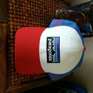 Patagonia Trucker Hat